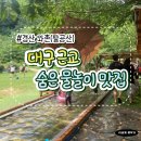 우리집원두막 | 대구 근교 아이랑 물놀이 어디 갈까? 경산 와촌 숲속식당 다녀온 솔직 후기