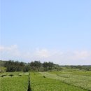 서광리-14 이미지