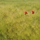 농촌테마파크_R 이미지