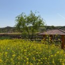 동학농민혁명 유적지 | 정읍/여행 전주 근교 유채꽃 명소 동학농민혁명기념공원