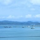 완도주유소 이미지