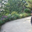 만수약수터 이미지