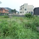 대안1리마을회관 이미지