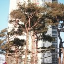 포스코더샵단지내부동산공인중개사사무소 이미지