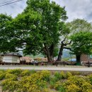 건지마을회관 이미지