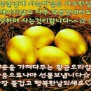 행운 Daum카페