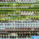 아름다운 | 제주도 웨딩스냅 유아오 유난히아름다운오늘 내돈내산 후기 드레스 추천 헬퍼