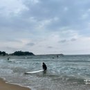 전은경서프스쿨
