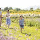 관음포연꽃마을협동조합 이미지