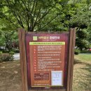 화정16공원 네이버블로그