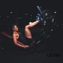 헬스피티 이미지