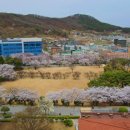 신창면 순천향로 이미지