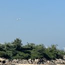 장봉행정사 이미지