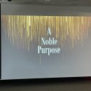 화이트21 이미지