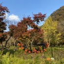 장성군청소년야영장(대피소/오토캠핑장) | [전남 장성 내장산/ 백양사 단풍놀이 / 백양숯불고기/ 가인야영장 캠핑] 가을 캠프닉 체리뽀로그