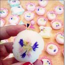 태금쿡클레스 이미지