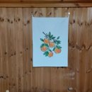 물댄동산 통나무펜션 이미지