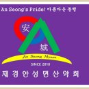 안성면113 Daum카페