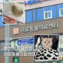 이로동물의료센터 이미지