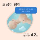 2 | [임신 7] 남매둥이 임신, 후기 2