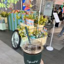 뽑기 N 뽑기 | 올리브영 N성수X빠더너스 콜라보 닥터포헤어 성수팝업 후기,성수 슈퍼베어 인형뽑기 추천