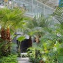 식물원옆카페 이미지