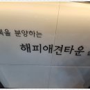 해피애견타운 분당판교점 이미지