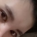 키닛브로우바 | 대구 동성로 키닛브로우바 방문후기, 눈썹정리
