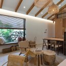 스테이 고집 이미지