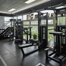 니드트레이닝센터 | 무릎에 부담이 적은 하체운동 [리버스 런지 스텝 니드라이브] 운동 효과와 올바른 자세 [진주 금산 PT...