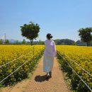 공원샌드위치&분식 - 서산시 부춘3로 53 | 구리한강시민공원 유채꽃축제 후기, 임산부도 걷기 편했던 한강공원