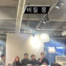 오늘의 강아지 이미지