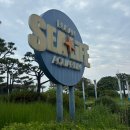 애플성인오락실 | 뚜벅이의 당일치기 부산 여행 후기 - 씨라이프 부산 아쿠아리움 보노베리 춘하추동밀면