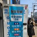 살맛나는온누리약국 | 마운자로 리얼 후기 및 부작용 :: 새종로약국 온누리 할인 종로 코코이비인후과
