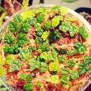 푸르메가살고있는곳 이미지