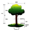 조경설계정원 이미지