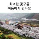 [하동소식] 화개장터 벚꽃축제 4월 3일 열려요^^ 이미지