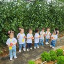 짐랜드어린이집 이미지