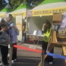 도시미감