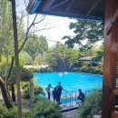 대아식당 이미지