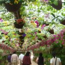 효덕목장 이미지