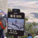 효령밧데리 이미지