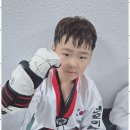 기품태권도 이미지