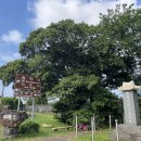 나무이야기 이미지