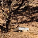 마진마을회관 이미지