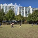 밤골어린이공원 이미지