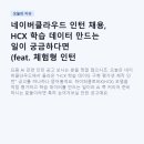 (주)시호비전분당 | 네이버클라우드 인턴 채용, HCX 학습 데이터 만드는 일이 궁금하다면 (feat. 체험형 인턴 A to Z)
