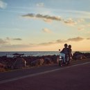 낙원의밤 이미지