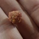 슈퍼붕 낚시카페 이미지