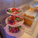 신나는노래연습장 이미지